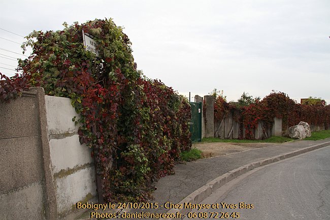 Doudou-24.10.2015-0073