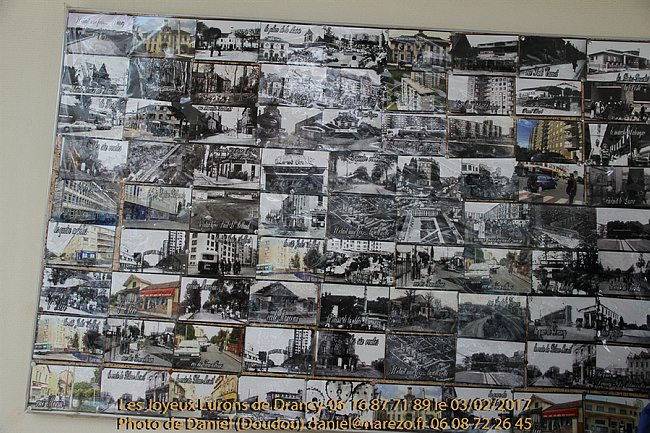 JLD-Narezo Daniel-03.02.2017-649