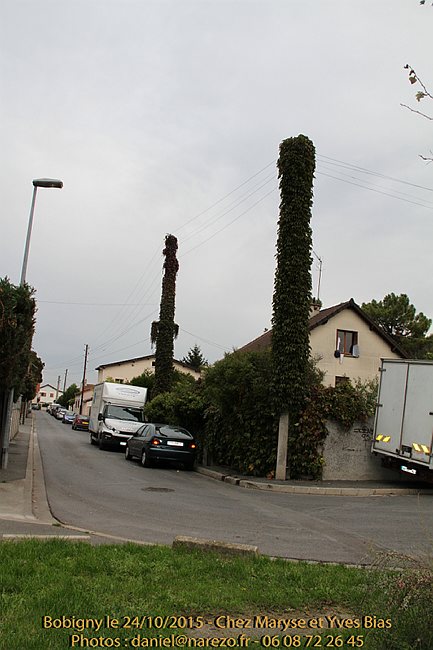 Doudou-24.10.2015-0059