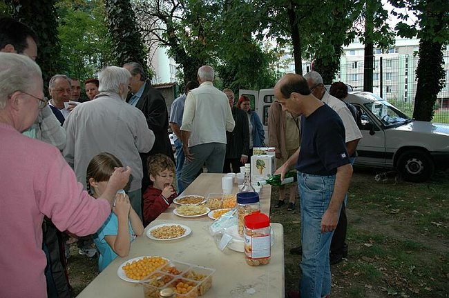 Photo 029