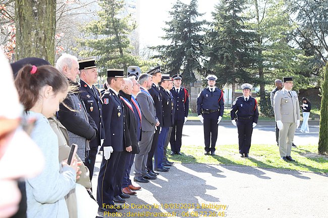 FD-DN-19.03.2025-084