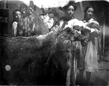 Narezo mre capture un Ours-3cm-72dpi.jpg - Photo004.htm